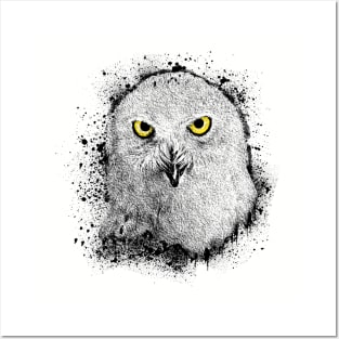 Owl Animal Bird Wildlife Forest Nature Adventure Hunt Graphic Posters and Art